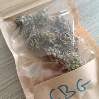 Susz CBG – Konopnapasja.pl